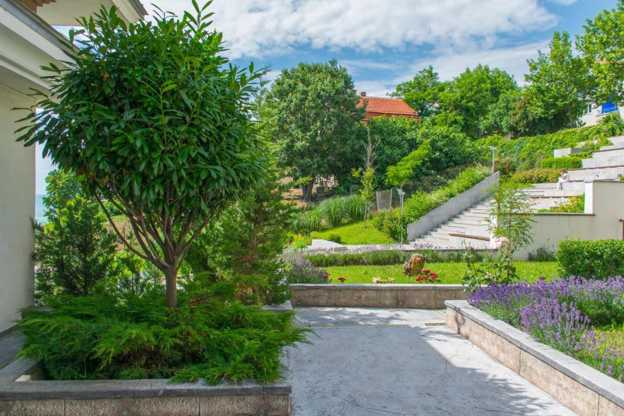 Paraiso Theopolis ابزور المظهر الخارجي الصورة