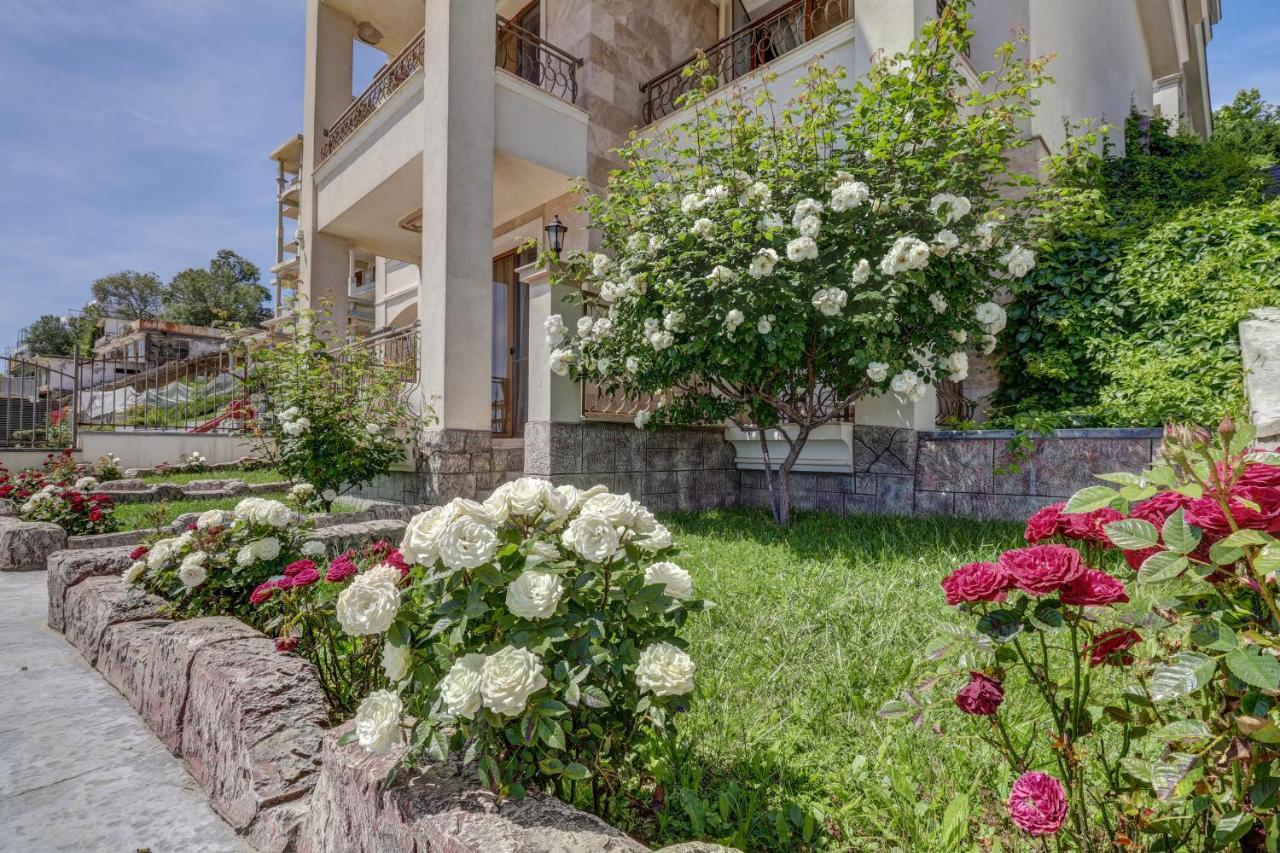 Paraiso Theopolis ابزور المظهر الخارجي الصورة